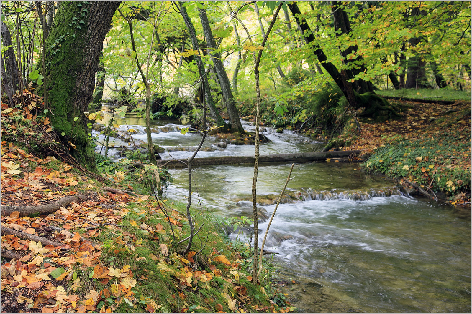 Plitvice Lakes N.P.